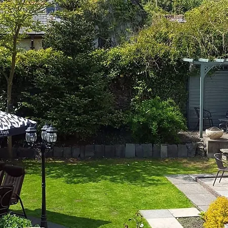 Han/Misafirhane Virginia House