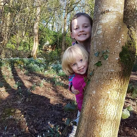 Virginia House Han/Misafirhane 3*