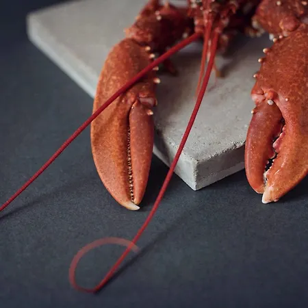 Virginia House 3* Ulverston